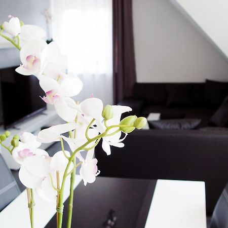 La Domus Premium Osnabrueck Lotte 아파트 외부 사진