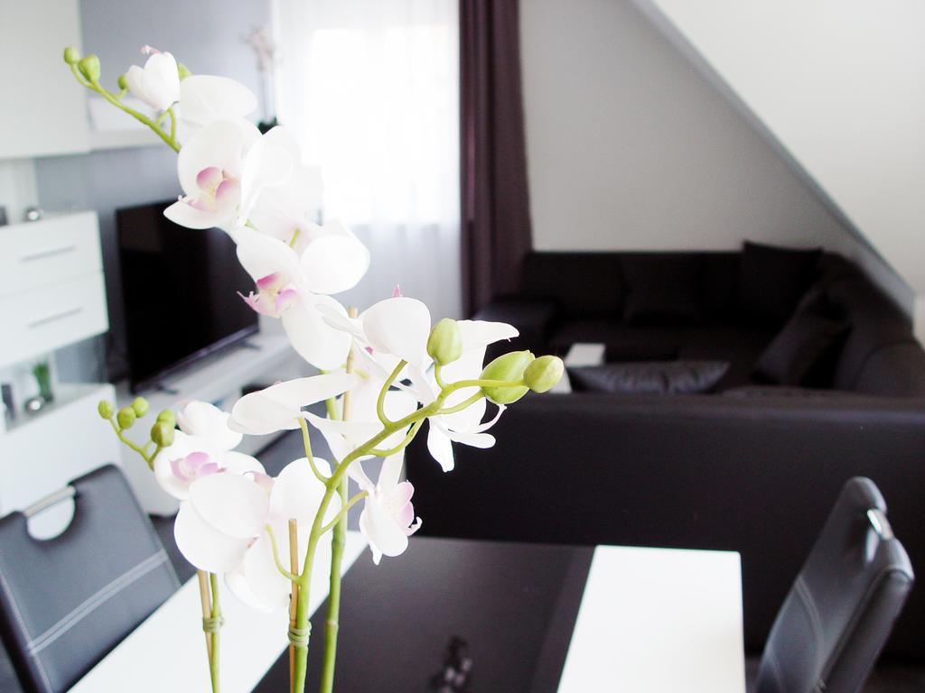 La Domus Premium Osnabrueck Lotte 아파트 외부 사진
